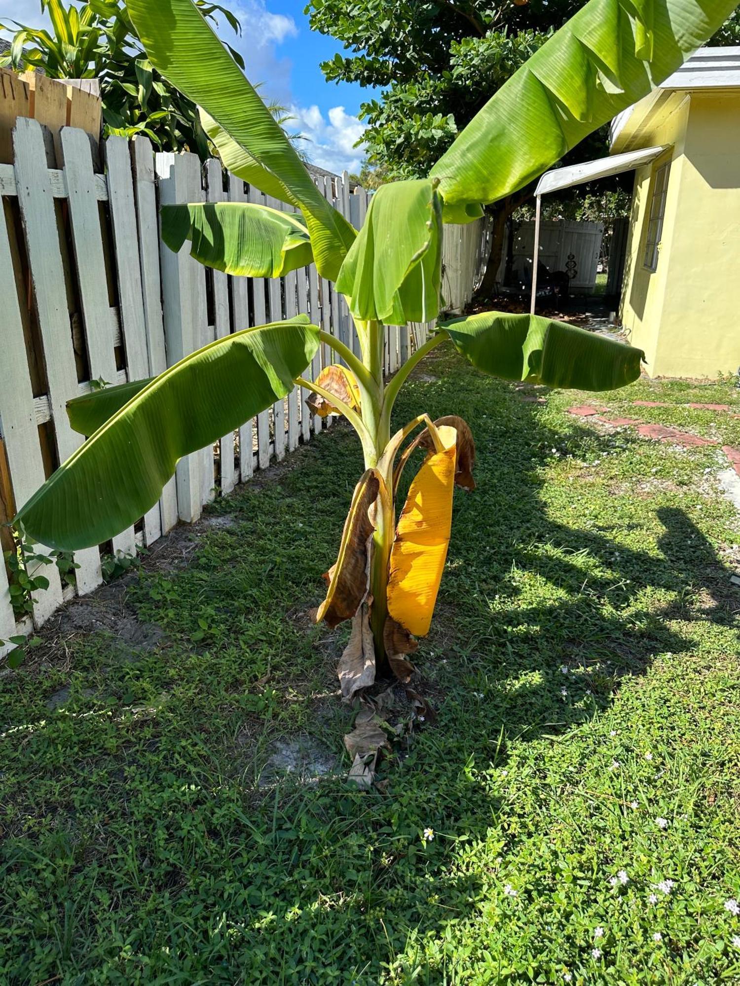 3 Bedroom House Fenced Backyard Private Patio Areas Grill Firepit Plenty Parking! Quick Access 10 Min To Beach Airport Delray West Palm Lake Worth Beach Ngoại thất bức ảnh